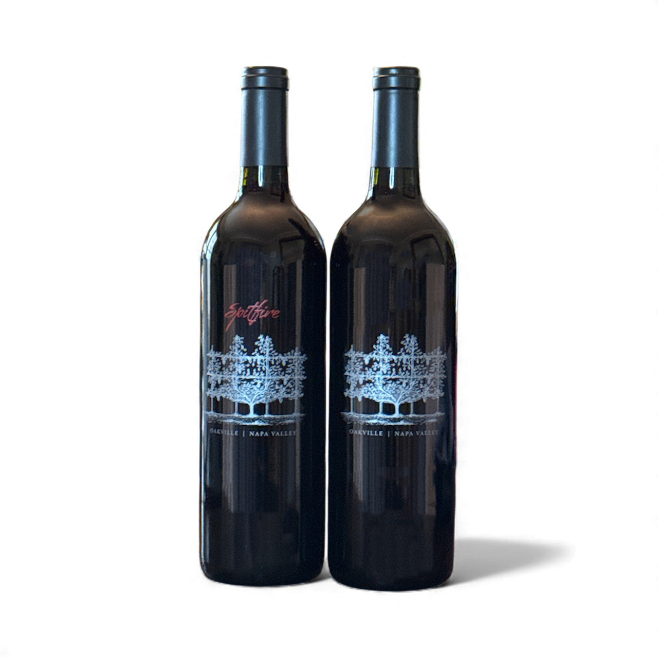 Product Image for Festive Fireside