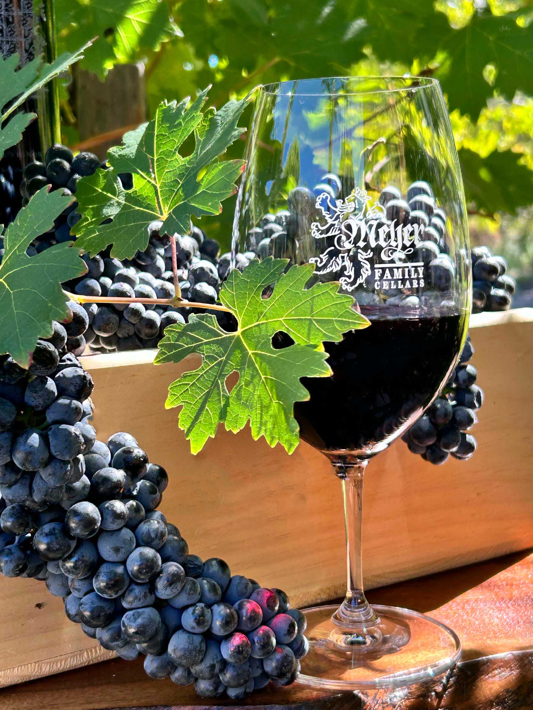 Product Image for Stemmed Glass