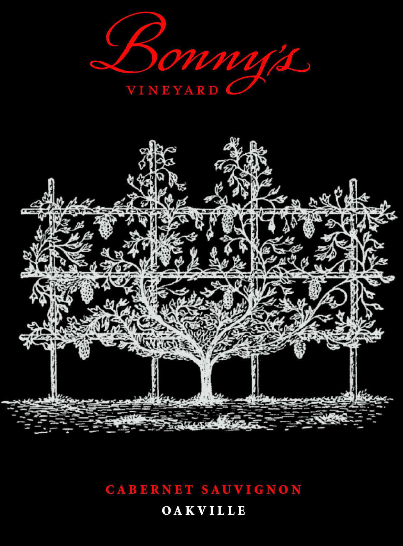 Product Image for 2021 Bonny's Vineyard Cabernet